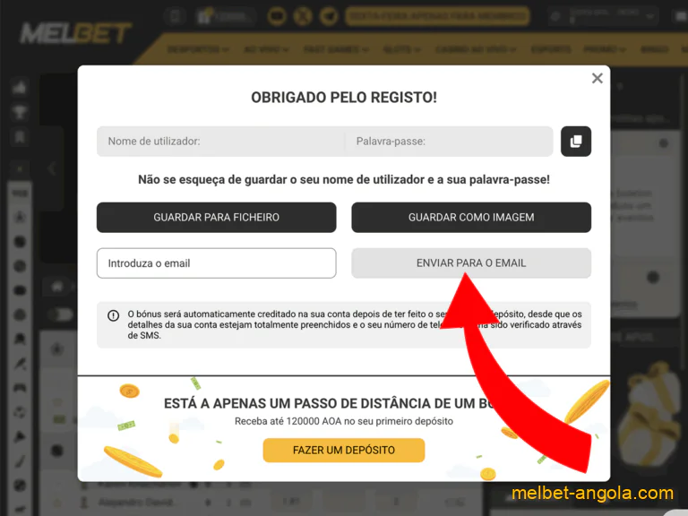Confirme pelo email ou SMS